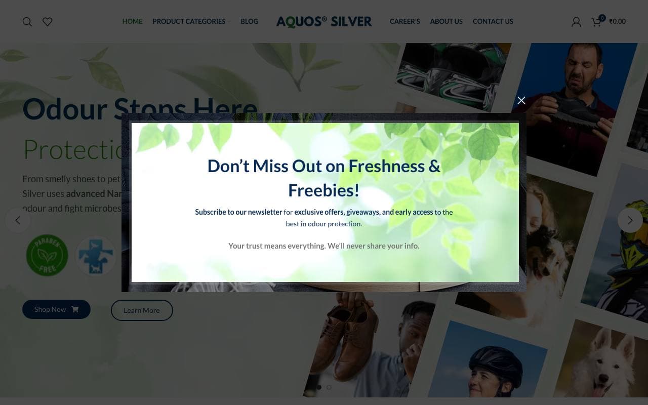 Aquossilver — website delivered by NextGen Fusion